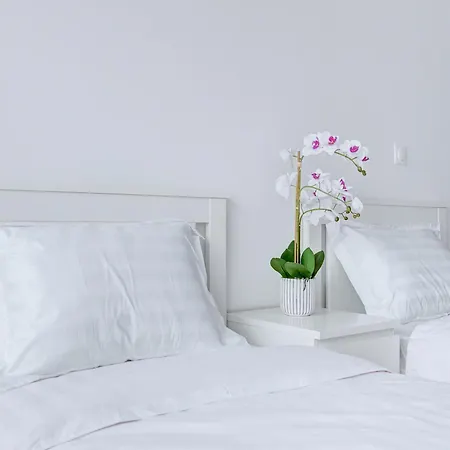 Apartment Au Coeur De Paris, Architecturale Et Elegante Paris